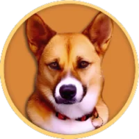 KEN