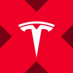 Tesla xStock