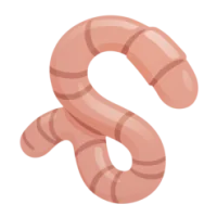 WORM