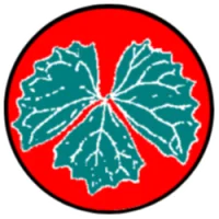 XVC