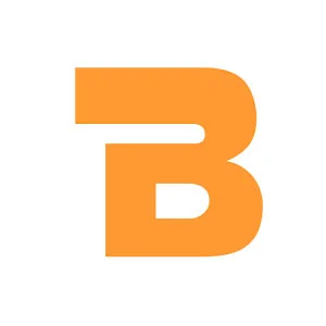 Bingcoins logo