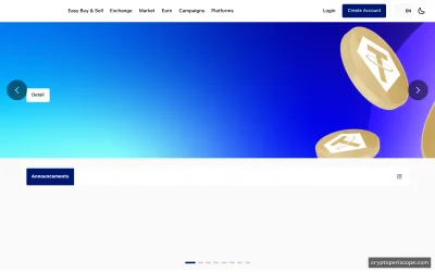 Bitci Website Preview