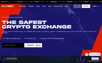 BitMEX Website Preview