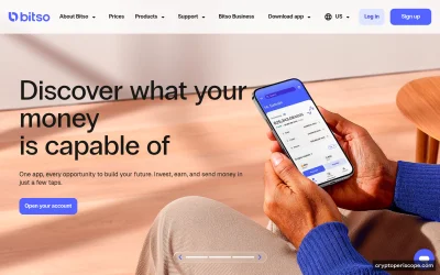 Bitso Website Preview