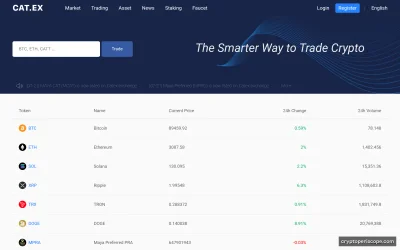 Catex Website Preview