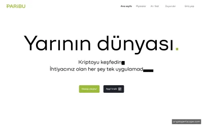 Paribu Website Preview