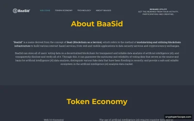 BaaSid Website Preview