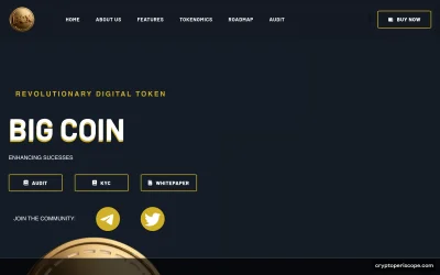 Big Coin Website Preview