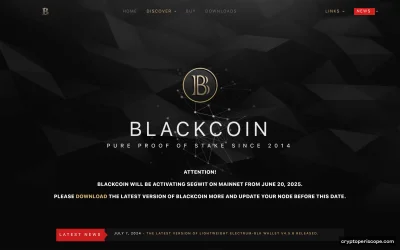 BlackCoin Website Preview