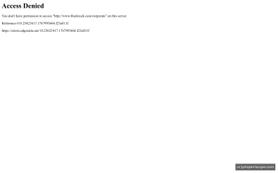 BlackRock USD Institutional Digital Liquidity Fund Website Preview