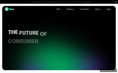Flow Website Preview