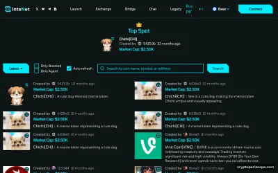 InteNet Website Preview