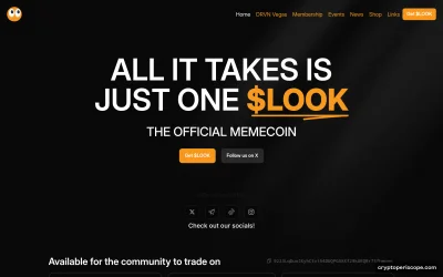 LOOK Website Preview