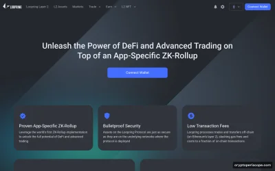Loopring Website Preview