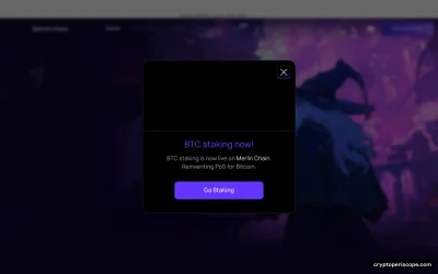 Merlin Chain Website Preview