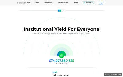 Main Street USD Website Preview