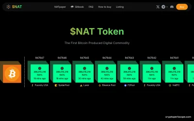 DMT-NAT Website Preview