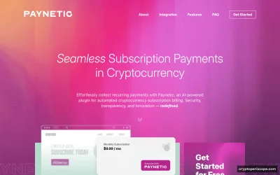 Paynetic Website Preview