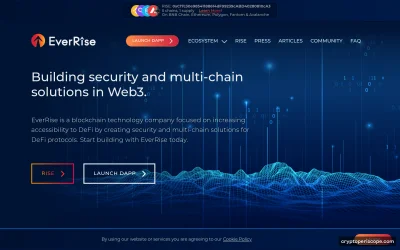 EverRise Website Preview