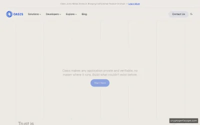 Oasis Website Preview