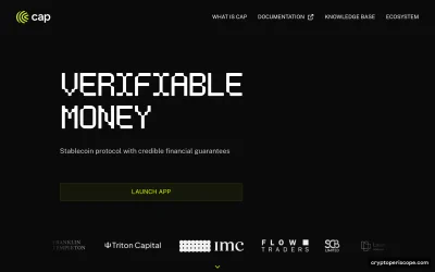 Staked Cap USD Website Preview