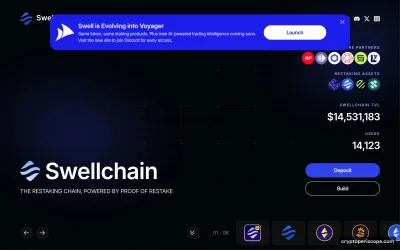 Swell Ethereum Website Preview