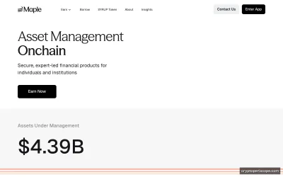 Maple Finance Website Preview