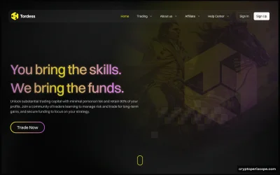 Tordess Website Preview