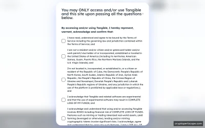 Ring USD Website Preview
