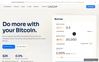USDu Website Preview