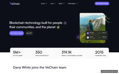 VeThor Website Preview