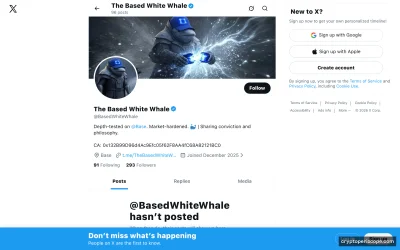The White Whale Website Preview