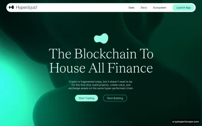Wrapped HYPE Website Preview
